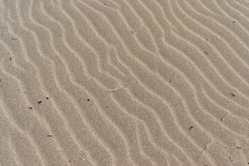 natural sandy beach texture, close-up, background