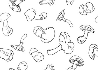 Seamless background of mushrooms. Hand drawing lines. Sketch drawing of a mushroom isolated on a white background. Organic vegetarian food product. For printing packaging, menus, recipes, packaging, e