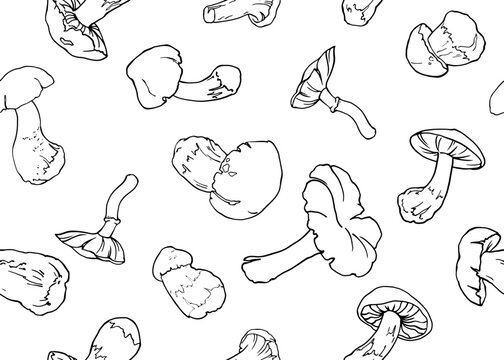 Seamless background of mushrooms. Hand drawing lines. Sketch drawing of a mushroom isolated on a white background. Organic vegetarian food product. For printing packaging, menus, recipes, packaging, e