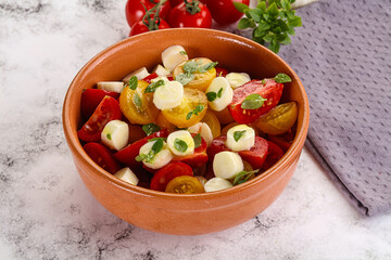 Italian Caprese salad with tomato and mozzarella