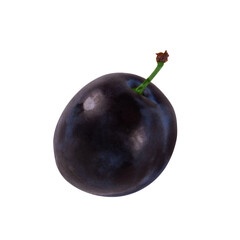 Whole fresh plum fruit isolated on transparent background
