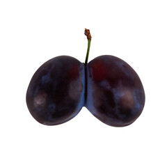 Conjoined fruits isolated on transparent background. Two plumes fused in one