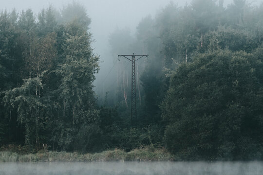 słupy energetyczne w porannej mgle