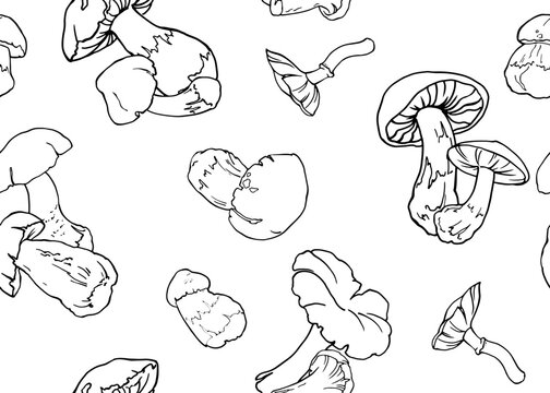 Seamless pattern of mushrooms. Hand drawing lines. Sketch drawing of a mushroom isolated on a white background. Organic vegetarian food product. For printing packaging, menus, recipes, packaging, etc.