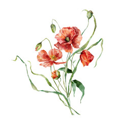 Watercolor meadow flowers bouquet of red poppies. Hand painted floral illustration isolated on white background. For design, print, fabric or background.
