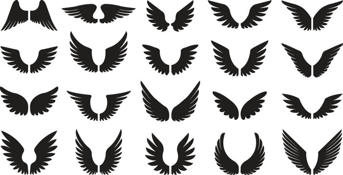 Wings with long feather icon in flat set. isolated on transparent background. Angel or bird Heraldic vintage army insignia emblem falcon phoenix hawk. Flying winged frame. vector logotype apps web