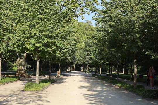 Le parc Jean Rameau, parc public, ville de Mont de Marsan, d&eacute;partement des Landes, France