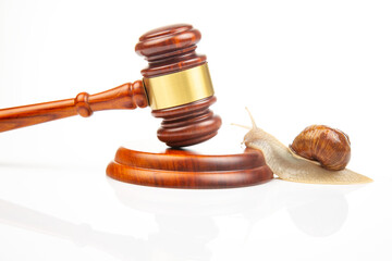 Snail and hammer of justice on a white background. The concept of slow adoption of laws and...