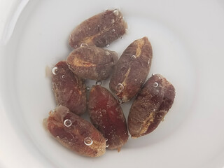 Soaking dates seeds in water before planting. How to plant seeds Concept