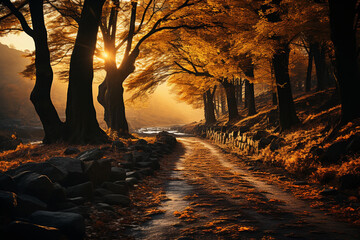 golden autumn forest background and wallpaper copy space