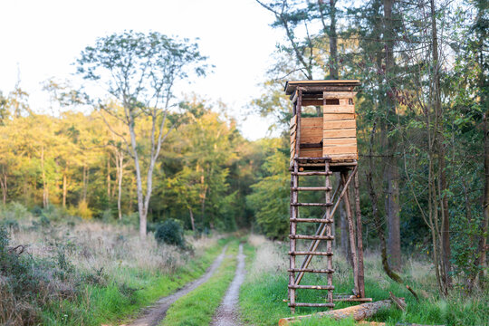 Hochsitz im Wald