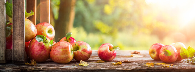 Close-up Of Apples And Wooden Crate On Table - Autumn And Harvest Concept