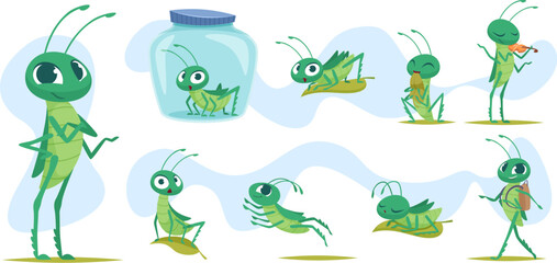 Fototapeta premium Grasshopper. Colored insects grasshopper jumping in grass exact vector cartoon template