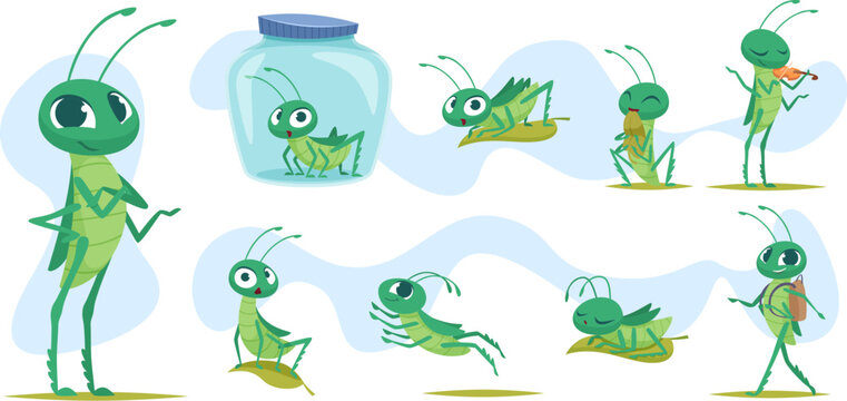 Grasshopper. Colored insects grasshopper jumping in grass exact vector cartoon template