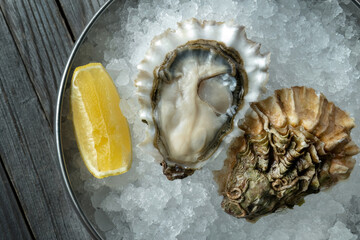 Fresh oyster on ice with lemon, fresh and beautiful. Macro