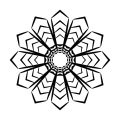 zwölfstrahliger stern aus schwarzen linien, schneekritall