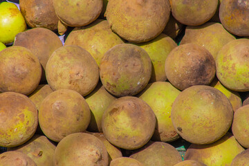 Zapote fruit for sale supermarket 