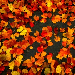 Naklejka na ściany i meble Stunning Colors of Autumn Leaves on the Ground