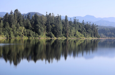 Fototapeta na wymiar Green trees on the lake shore reflected in the lake