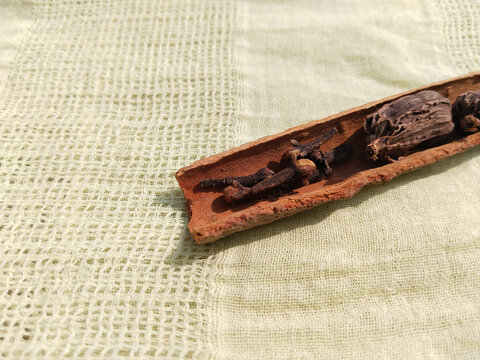 cinnamon sticks, clove and Black cardamom (Amomum subulatum) isolated on yellow cloth background. copy space, place your text