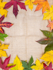 Naklejka na ściany i meble Burlap background with outline of autumn leaves of different colors.