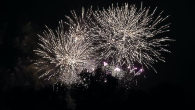 Festive fireworks exploding behind the trees during the celebration. Slow motion. 