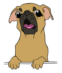 吠えるフォーンの子犬