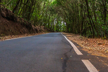Carretera en la Isla de la Gomera.