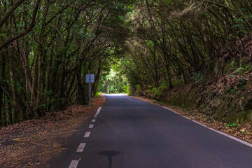Carretera en la Isla de la Gomera.