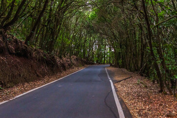 Carretera en la Isla de la Gomera.