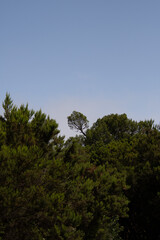 Paisaje en la Isla de la Gomera.