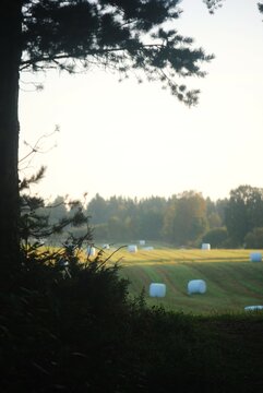 sunset over the feald