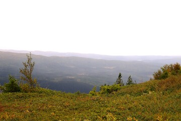 misty morning in the mountains
