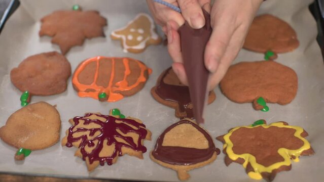 squeezing colorful icing glaze from pastry bag decorating baked thanksgiving sugar cookies maple leaf pumpkin ghost shape biscuits for holiday thanksgiving breakfast. celebrating grateful holiday 