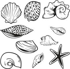Set of sea shells, Seashell Cut File eps, eps for shirts, cups, stickers, vectors