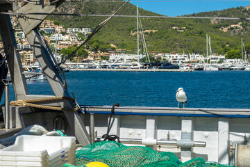 White seagull perched on the rail of a fishing boat in Port d'Andratx (Mallorca, Spain) on a sunny summer morning