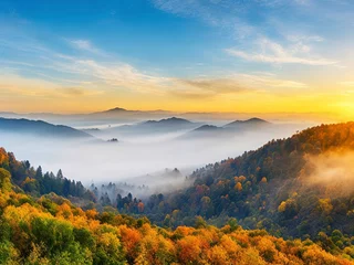 Foto auf Acrylglas Morgen mit Nebel landscape Black Forest Germany.