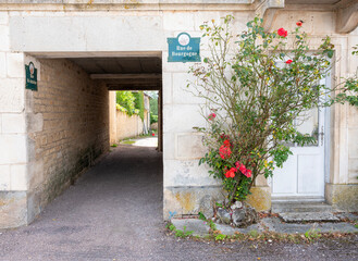 Fototapeta na wymiar red roses and facade in french burgundy