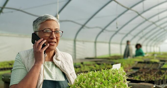 Farmer, sustainability and woman on spinach farm working on harvest or organic gardening of vegetables in nature. Montage, phone call and person with nutrition food produce in agriculture with tablet