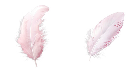 Png Set White feather on transparent background