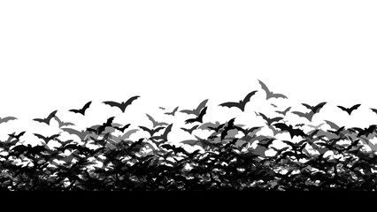 Seamless background of flying bats. Bottomless bats. Composition of bats flying without background. Illustration of bats without background. Resources for Halloween.
