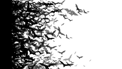 Seamless background of flying bats. Bottomless bats. Composition of bats flying without background. Illustration of bats without background. Resources for Halloween.
