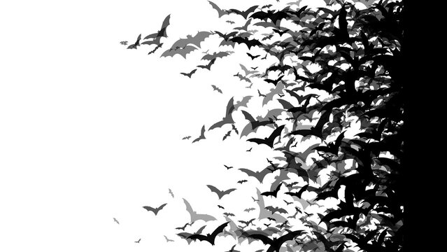 Seamless background of flying bats. Bottomless bats. Composition of bats flying without background. Illustration of bats without background. Resources for Halloween.

