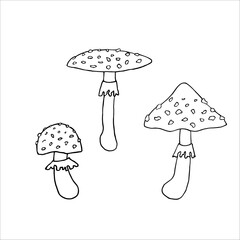 Set of mushrooms on white background. Hand drawn vector illustration. For coloring, advertising, packaging, invitations, business cards, postcards, printing.