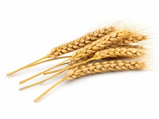 Wheat ears isolated on white background. Package design element with clipping path. Full depth of field : Generative AI