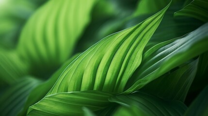 Green tropical plant close-up. Abstract natural floral background Selective focus, macro. Flowing lines of leaves : Generative AI