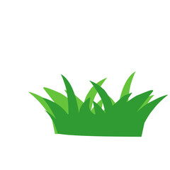 Green Grass Vector Illustration 