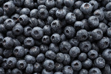 Wet fresh blueberries as background, top view