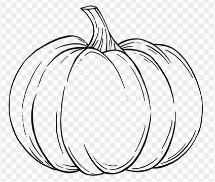 Vector illustration of a hand-drawn pumpkin in a brush-style, isolated on a transparent PNG background. Perfect for Halloween party backgrounds, poster templates, brochures, online ads.