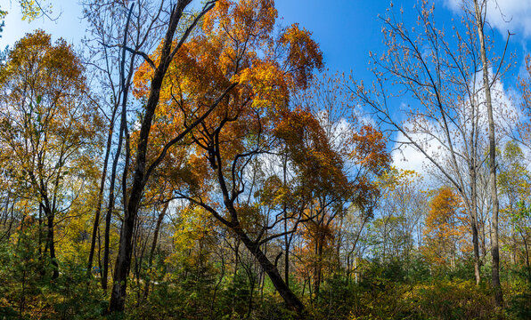 Wanda mountains forest autumn